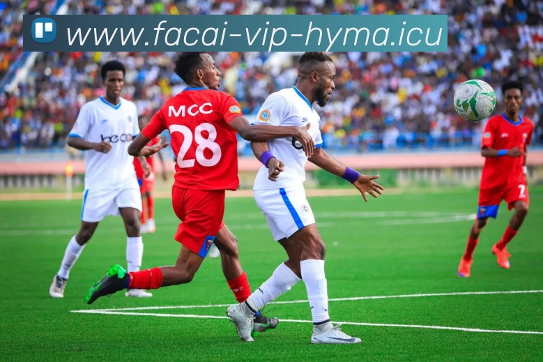 乐鱼体育注册平台生态图